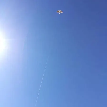 Am Seglerhafen Lejlighed *